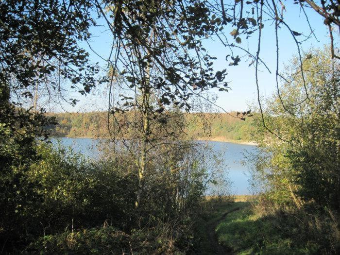 Chalet Kokomo - Gelegen In Bosrijkgebied Van Drenthe Eext Esterno foto